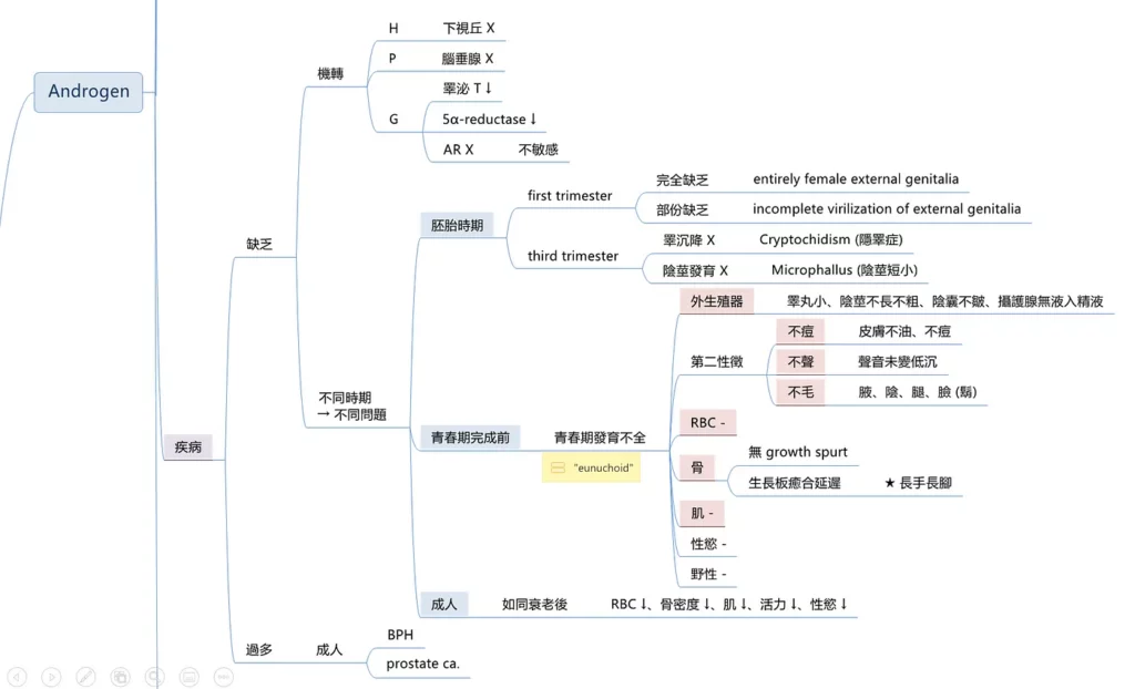 心智圖筆記的其中一小部份