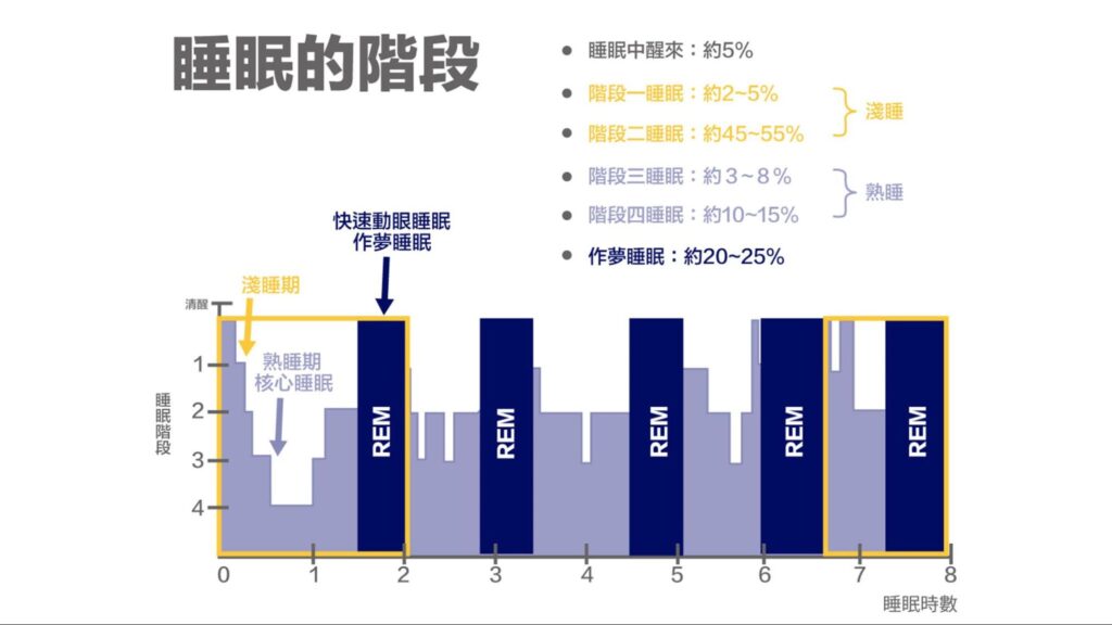 睡眠週期表 (Sleep Cycle)